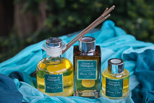 Mossy Glen Reed Diffuser: The Evergreen Collection