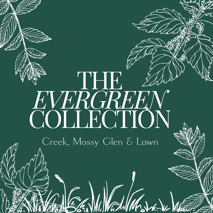 The Evergreen Collection