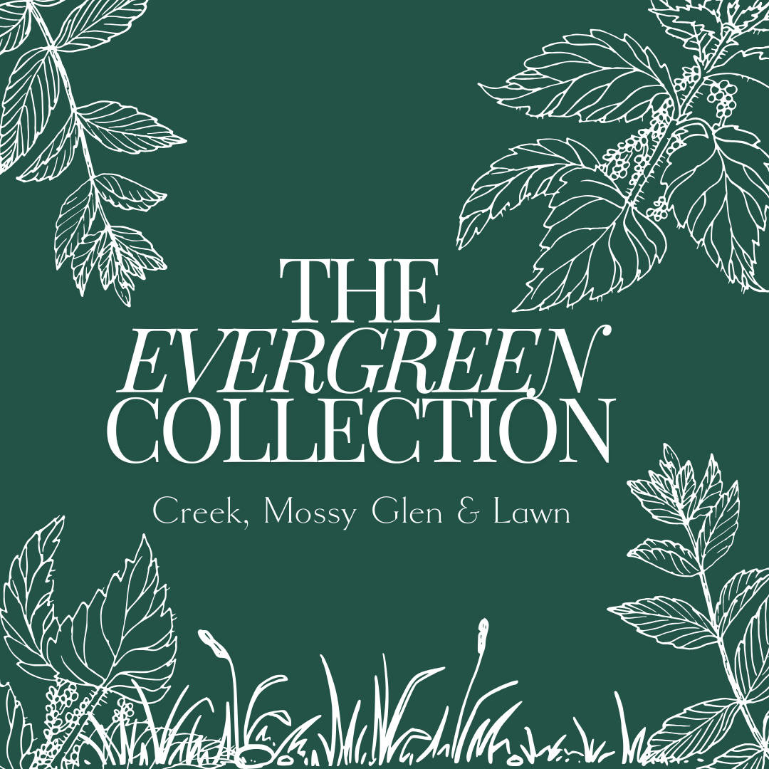 The Evergreen Collection