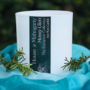 Mossy Glen Soy Wax Candle : The Evergreen Collection — Earthy Natural Home Fragrance with Botanical oils