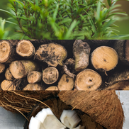 Agarwood Musk – Luxury Soy Wax Candle with Natural Fragrance Oils