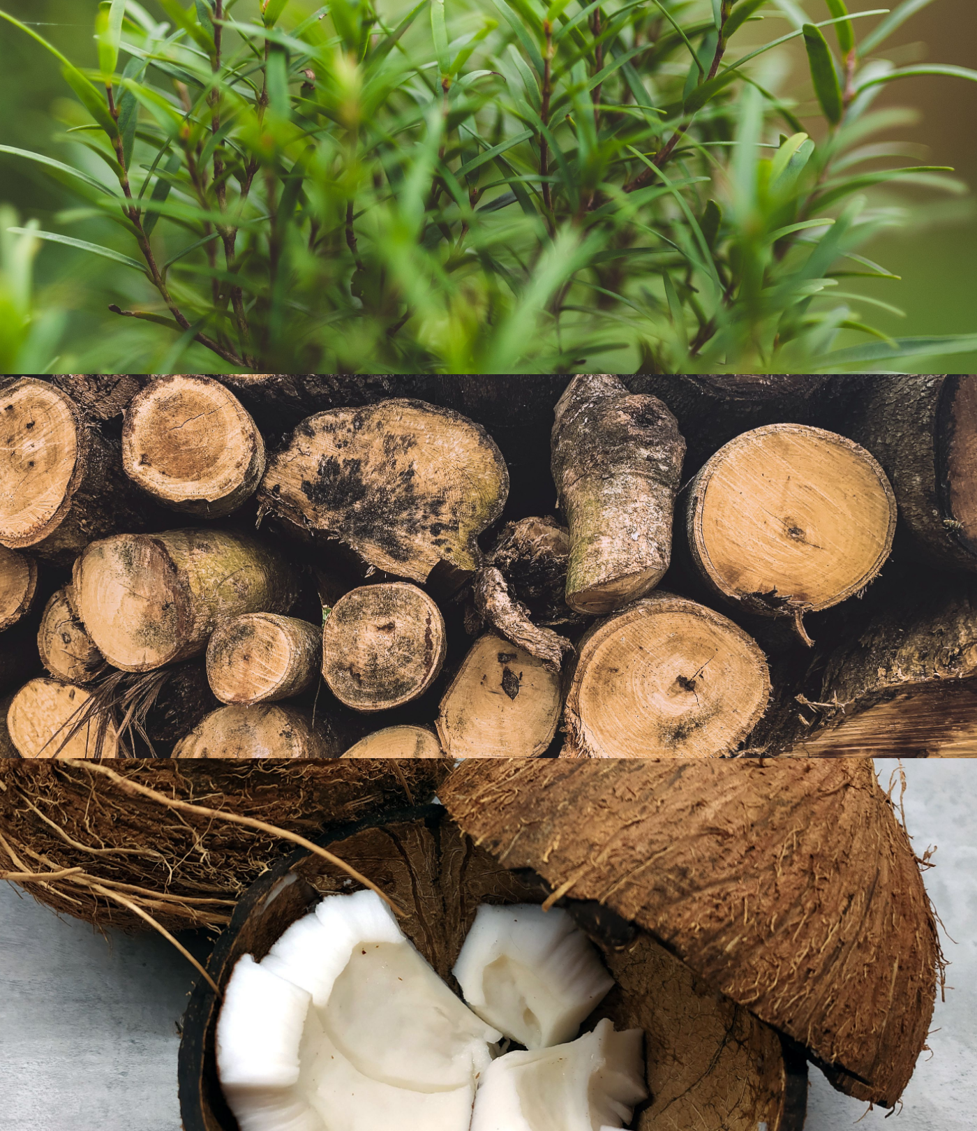 Agarwood Musk – Luxury Soy Wax Candle with Natural Fragrance Oils