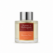 Morning Dew Diffuser — Clean Fresh Natural Home Fragrance
