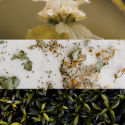 Creek Soy Wax Candle : The Evergreen Collection – Fresh Green Citrusy Natural Home Fragrance