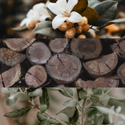 Hurst Forest Soy Wax Candle – Woodland Natural Home Fragrance