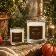 Tomato Fields Soy Wax Candle - Leafy Green Bright Natural Home Fragrance