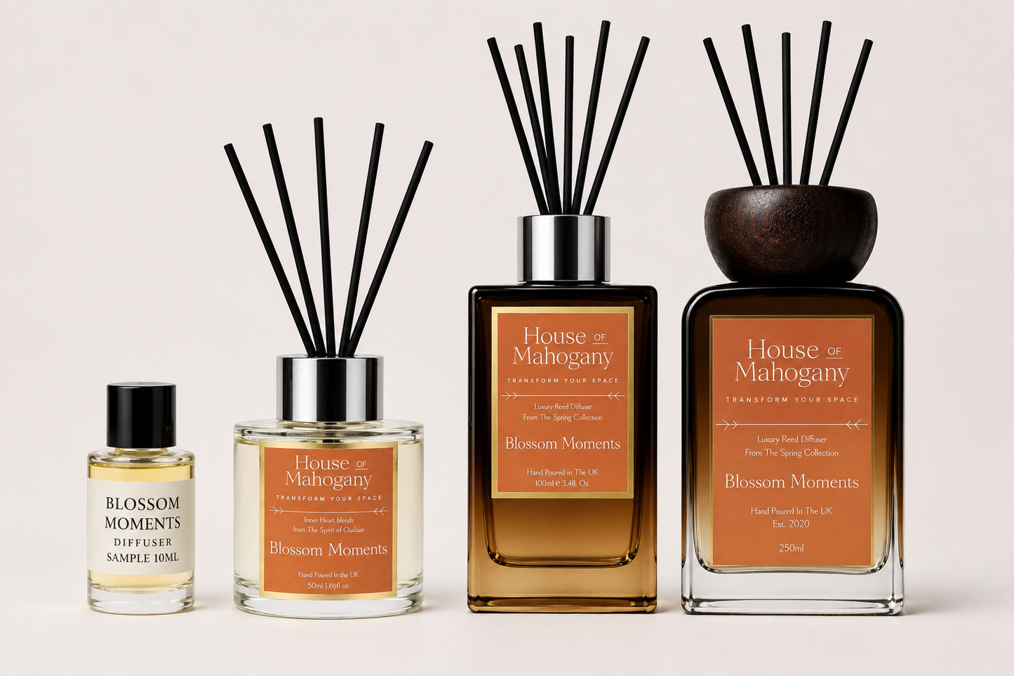 Blossom Moments Reed Diffuser – Soft Fruity Floral Natural Home Fragrance