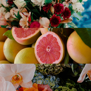 Opulent Primrose Soy Wax Candle — Luxury Floral Natural Home Fragrance