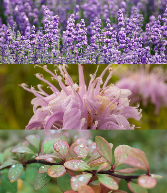 Violet Rain Room Spray – Soft Gothic Floral Fresh Natural Home Fragrance